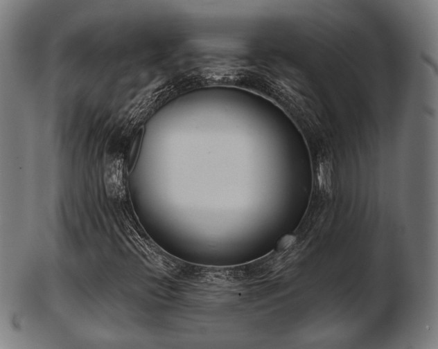 X0000103471396200809121618