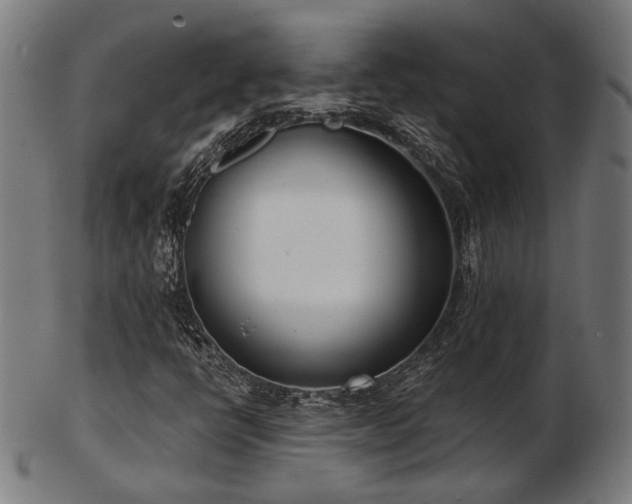 X0000103471398200809121618