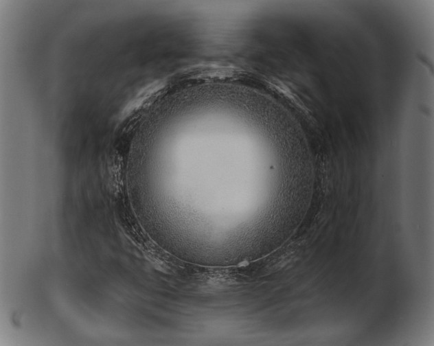 X0000103471399200809121618