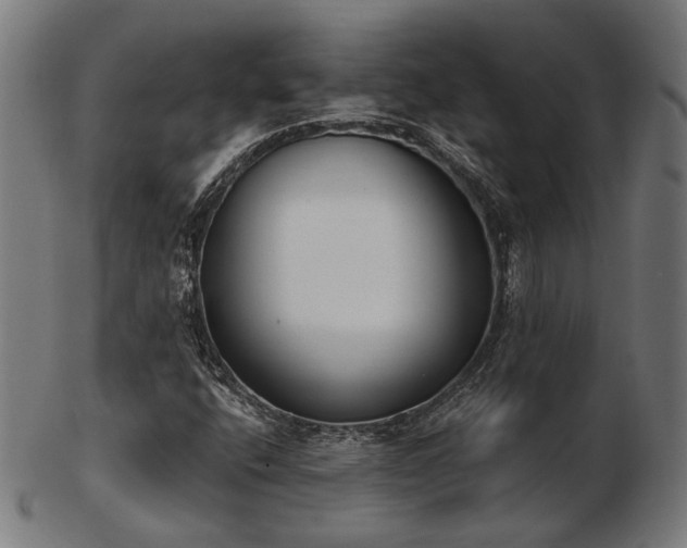 X0000103471400200809121618