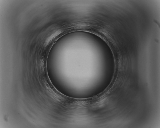 X0000103471402200809121618