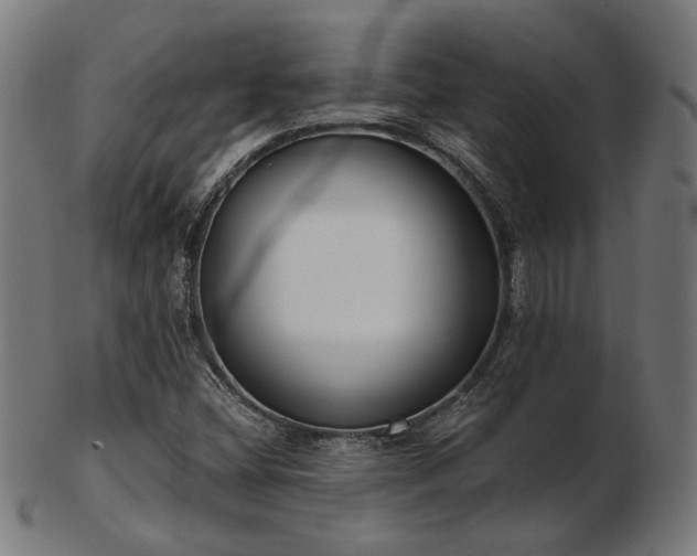 X0000103471404200809121618