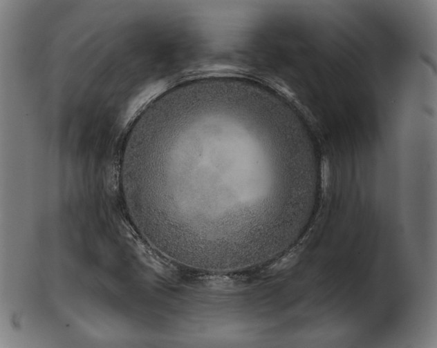 X0000103471405200809121618