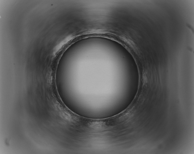 X0000103471406200809121618