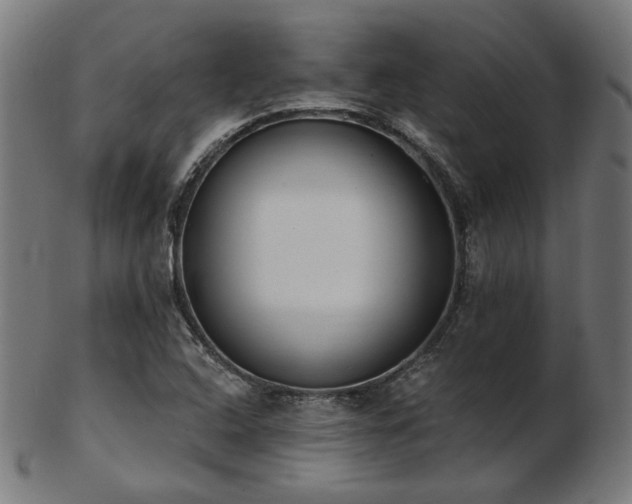 X0000103471408200809121618