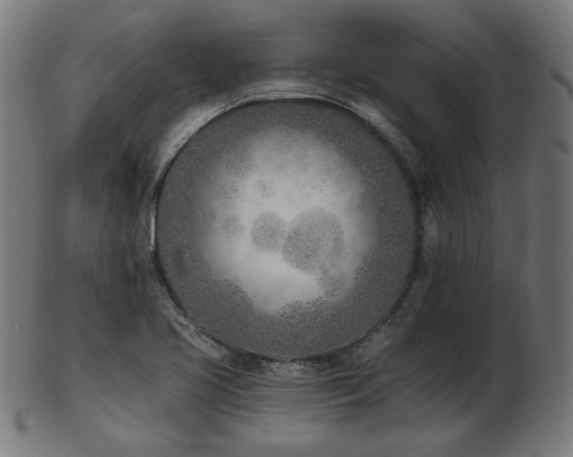 X0000103471413200809121618