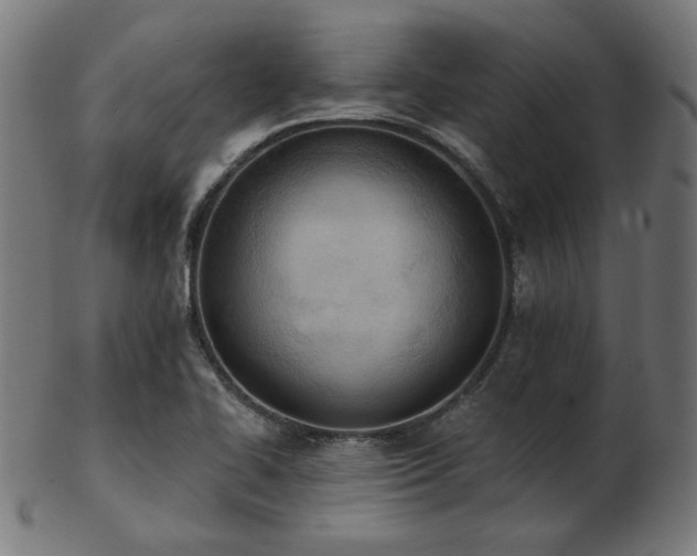 X0000103471414200809121618