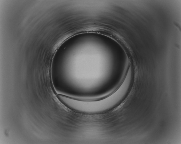 X0000103471417200809121618