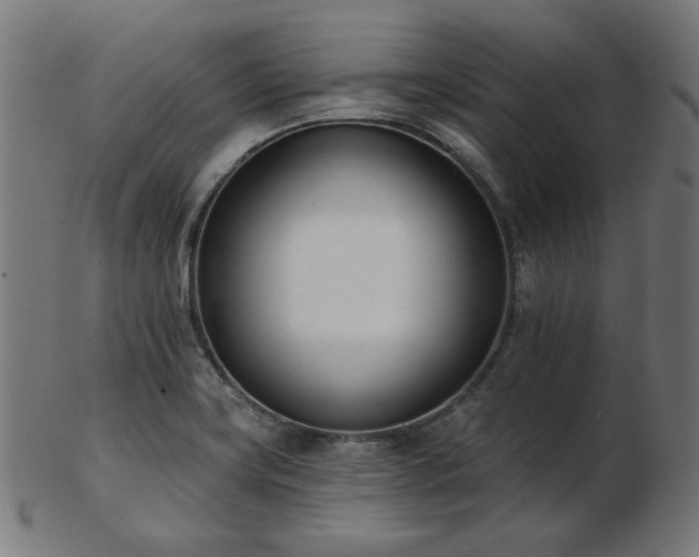 X0000103471419200809121618