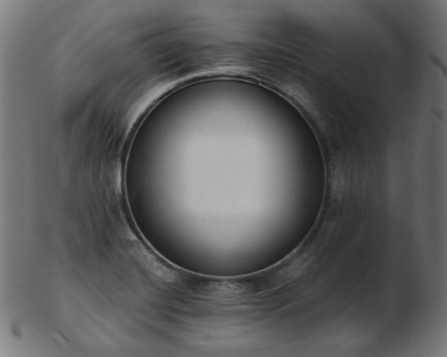 X0000103471420200809121618