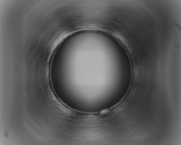 X0000103471424200809121618