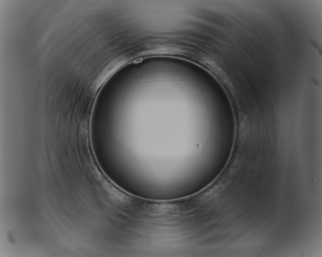 X0000103471425200809121618