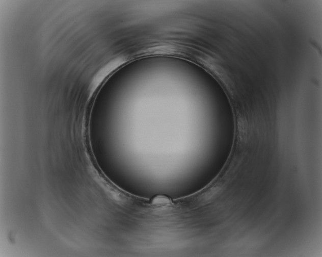 X0000103471426200809121618