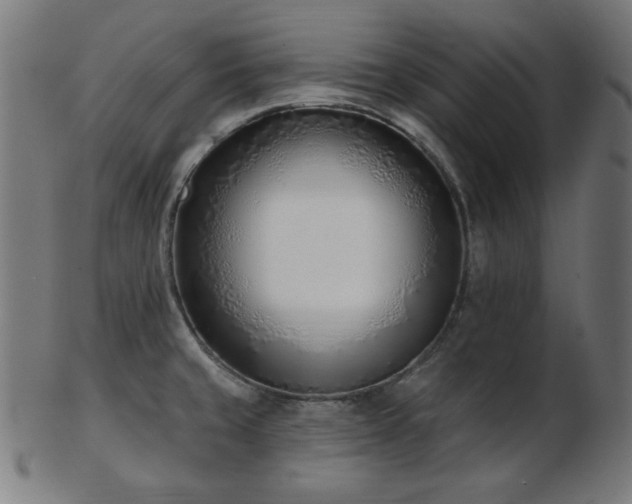 X0000103471429200809121618