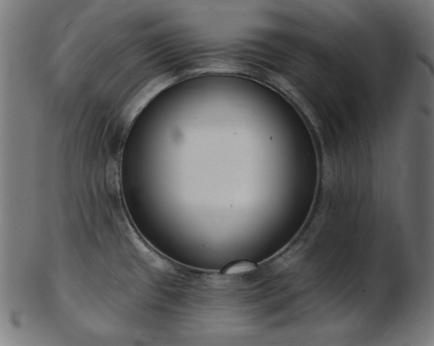 X0000103471433200809121618