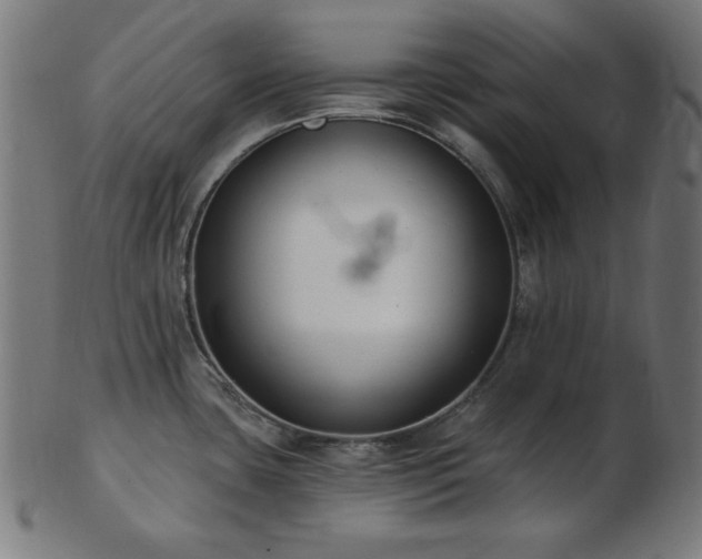 X0000103471435200809121618