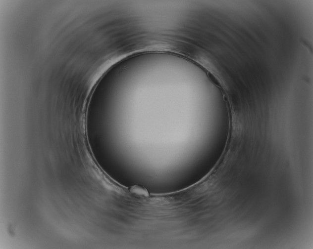 X0000103471436200809121618