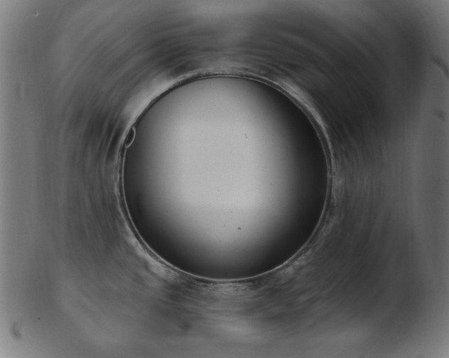 X0000103471437200809121618