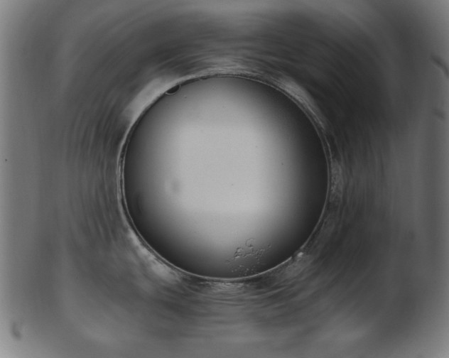 X0000103471439200809121618