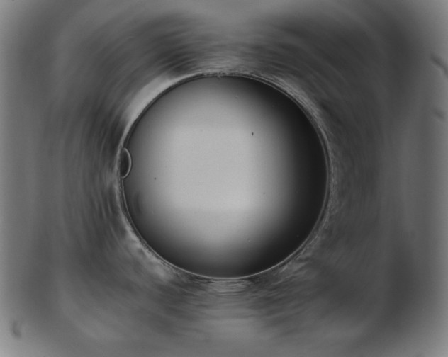 X0000103471440200809121618