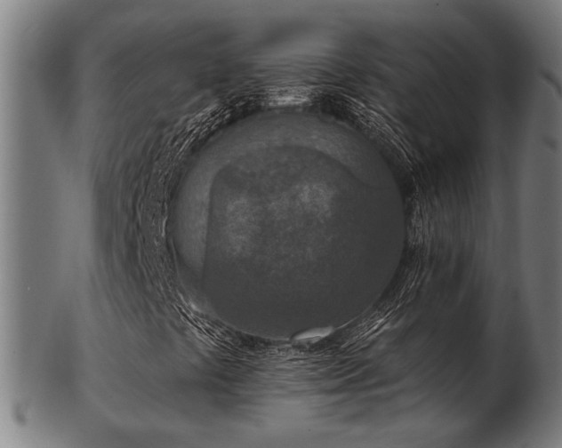 X0000103471441200809121618