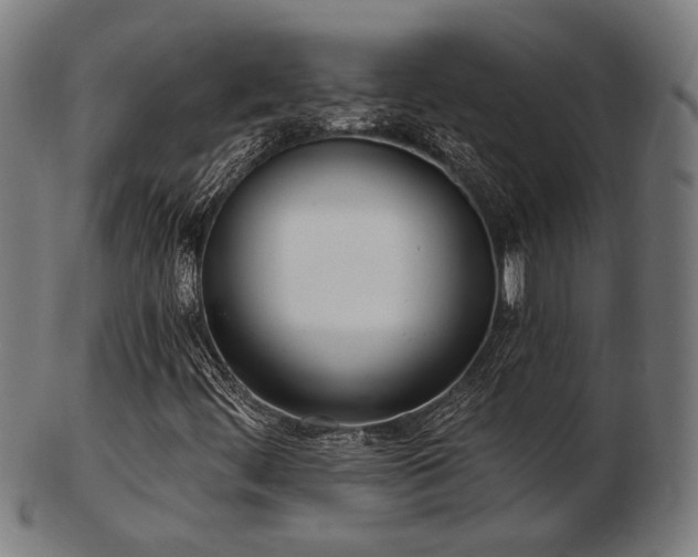 X0000103471444200809121618