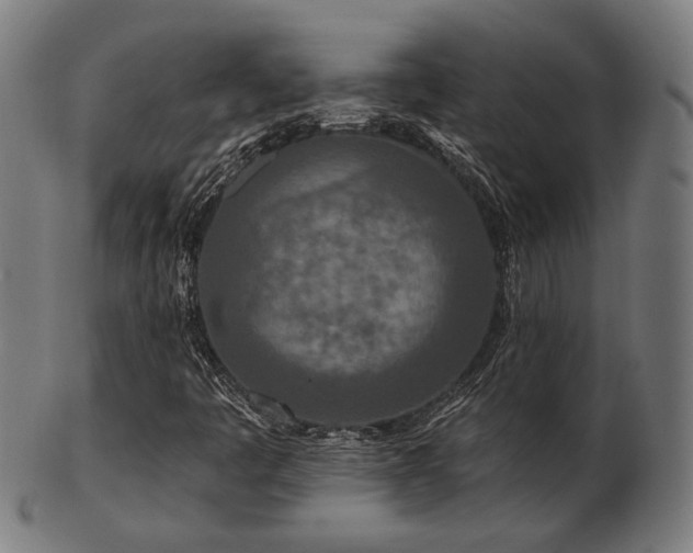 X0000103471445200809121618