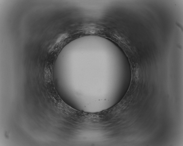 X0000103471446200809121618