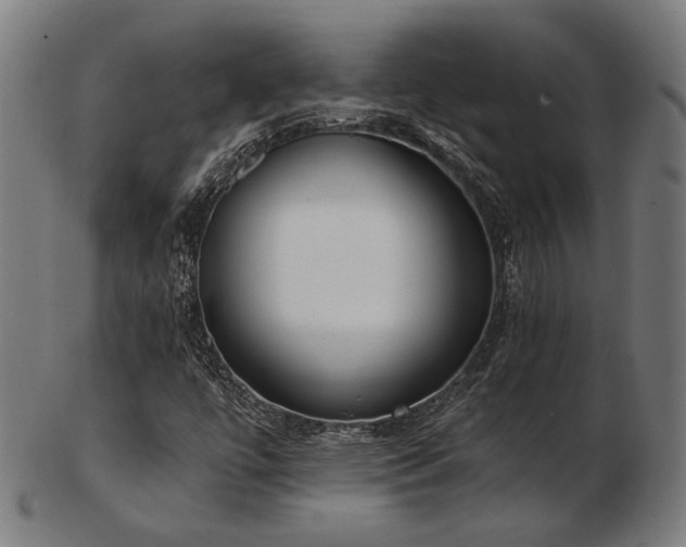 X0000103471447200809121618