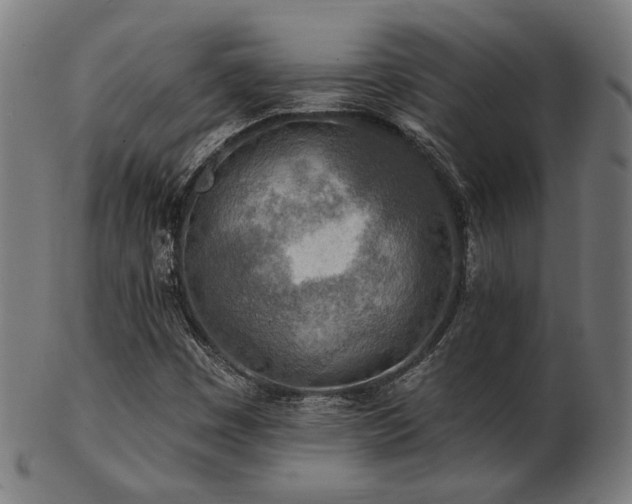 X0000103471449200809121617