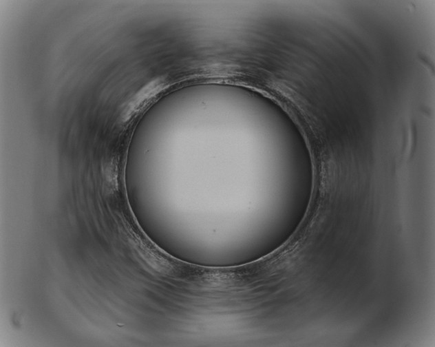 X0000103471451200809121617