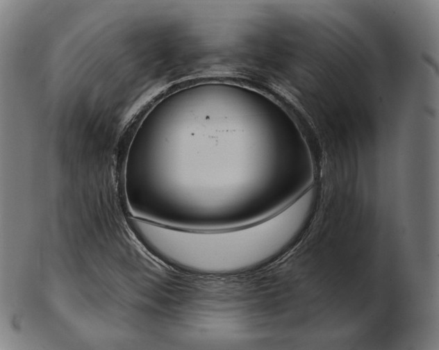 X0000103471452200809121617