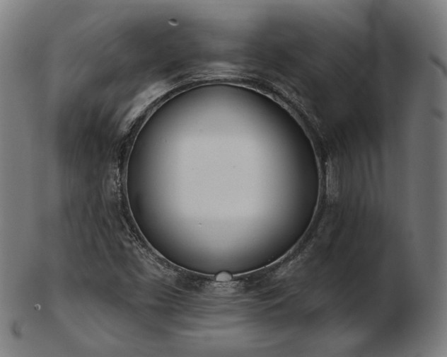 X0000103471453200809121617