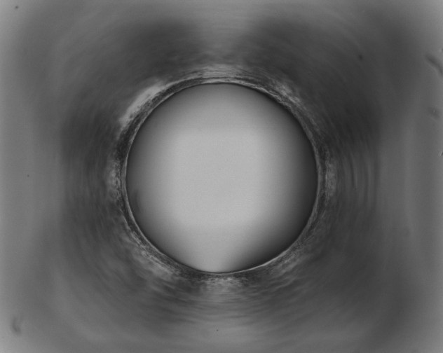 X0000103471454200809121617