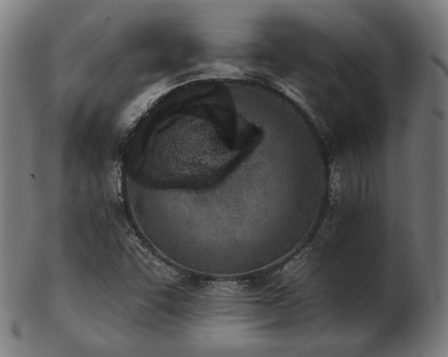 X0000103471455200809121617