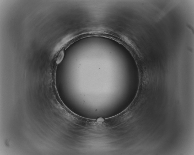 X0000103471456200809121617
