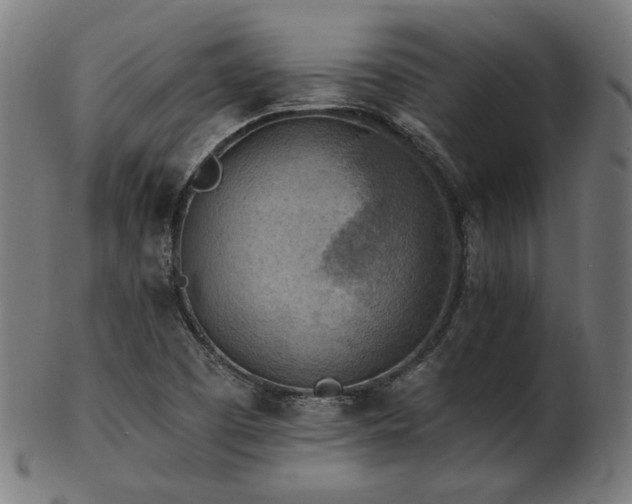 X0000103471457200809121617