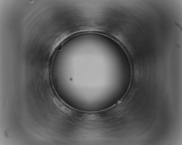 X0000103471460200809121617