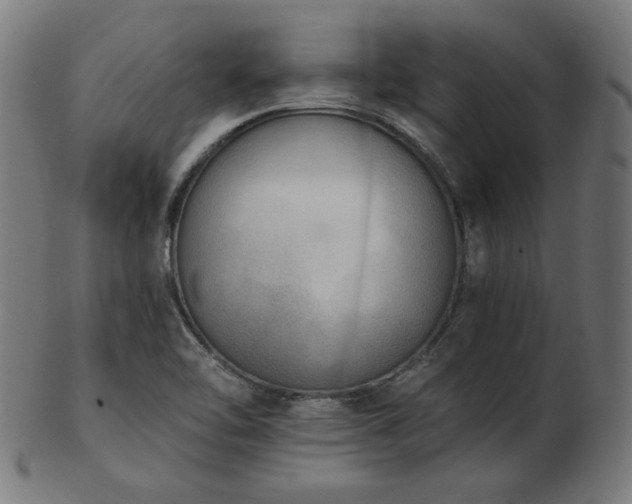 X0000103471462200809121617