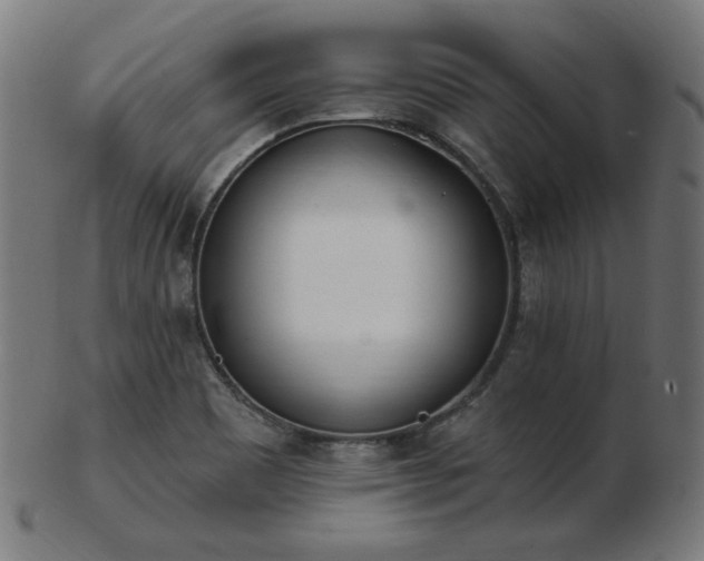 X0000103471465200809121617