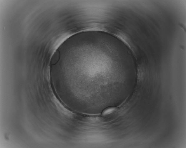 X0000103471468200809121617