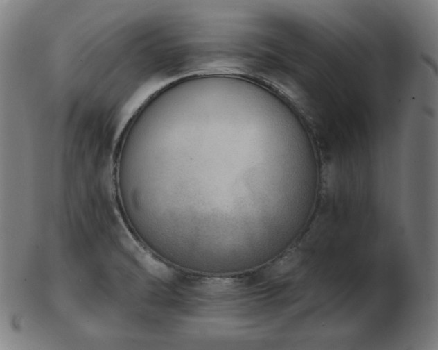 X0000103471470200809121617