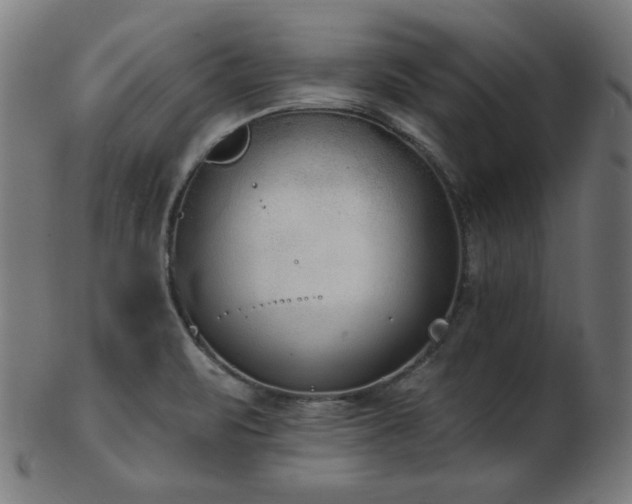 X0000103471471200809121617