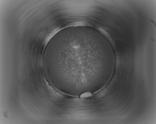 X0000103471473200809121617