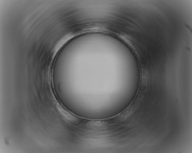 X0000103471474200809121617