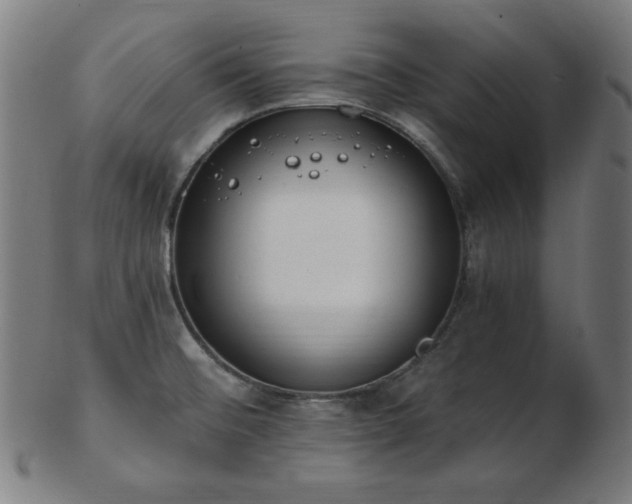 X0000103471476200809121617