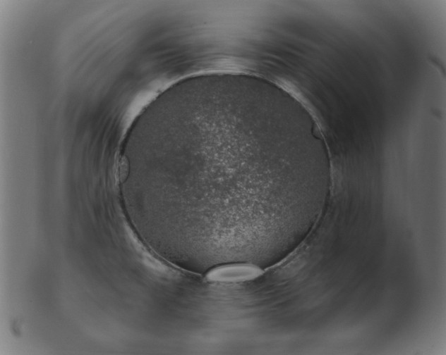 X0000103471477200809121617