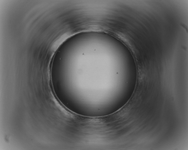 X0000103471479200809121617