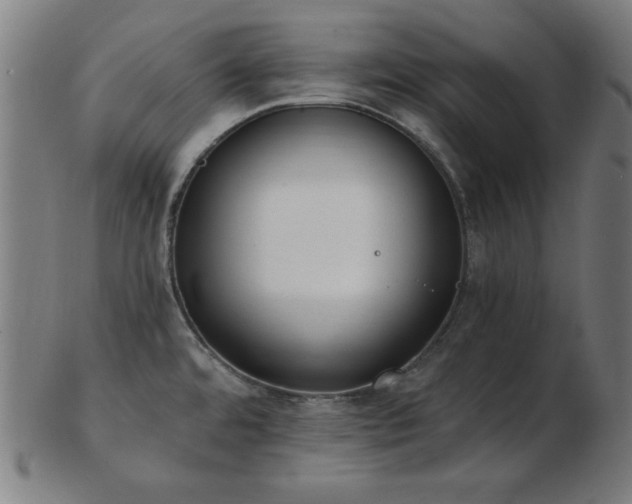 X0000103471480200809121617