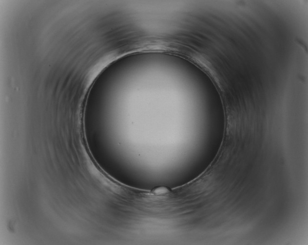 X0000103471483200809121617